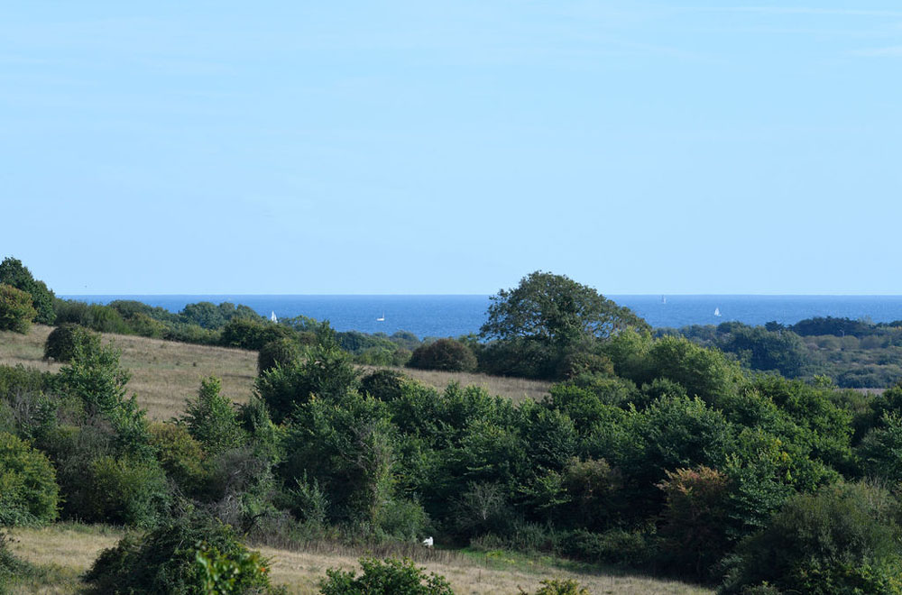 A countryside view taken in Dorset, UK. The sea is visible in the background.